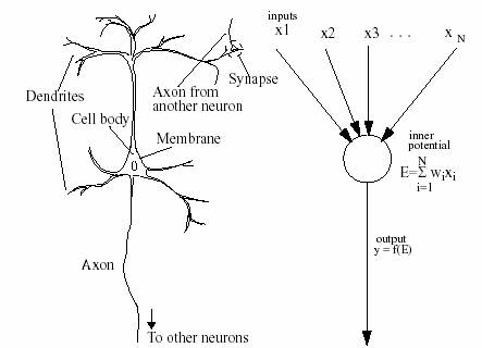 http://www.hemming.se/gslt/LingRes/NeuralNetworks-filer/image002.jpg